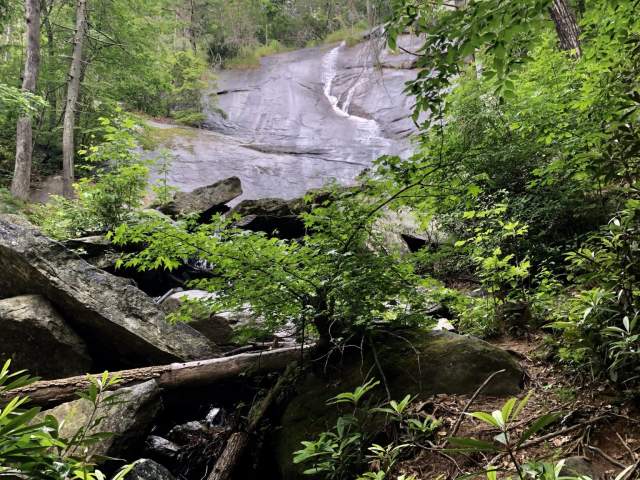 Wildcat Branch Falls