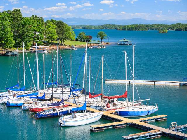 Several sailboats docked on the shores of Lake Hartwell in South Carolina.