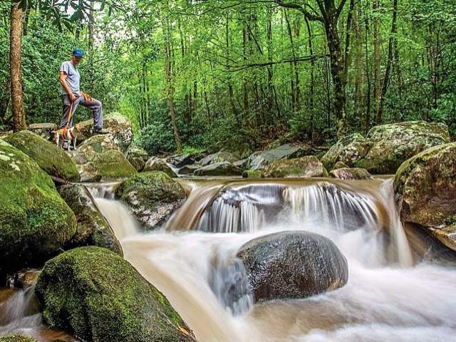Man walking with dog at small waterfall