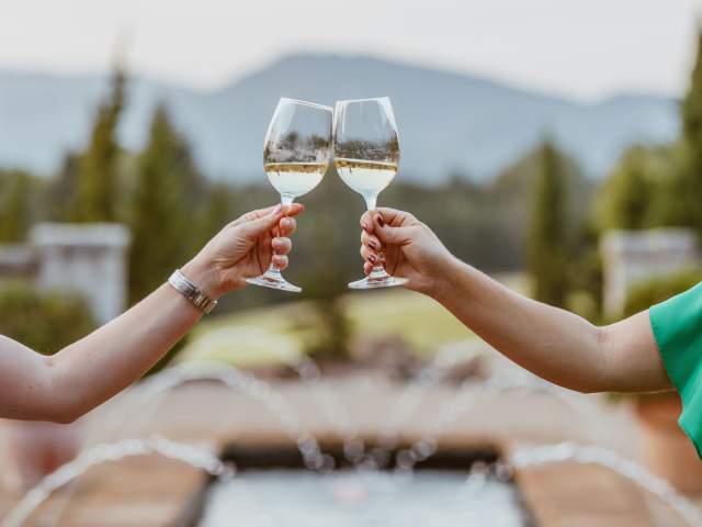 People sitting outside toasting wine glasses