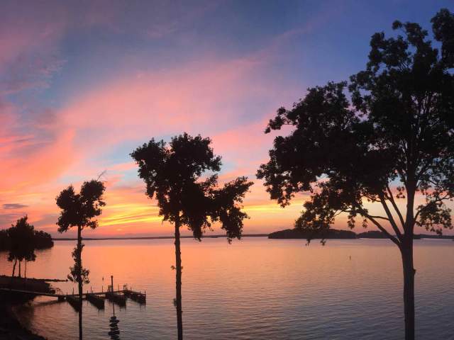 Trees sway in the breeze at sunset over the shores of Lake Hartwell in Anderson, South Carolina at Green Pond Landing & Event Center.