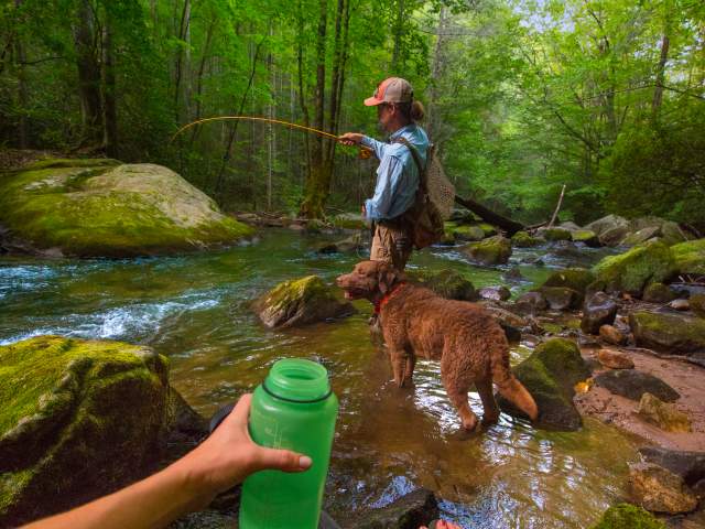 People and Dog Fly Fishing at Jones Gap