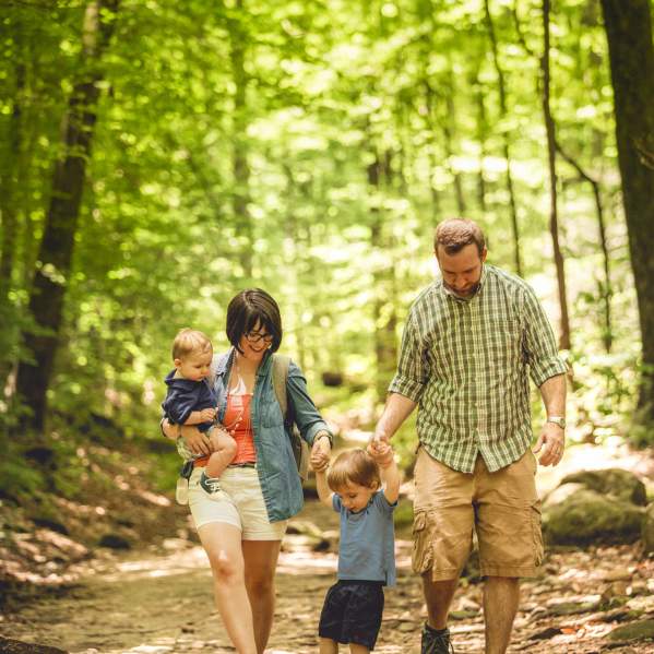 Exploring Nature's Playground: Greenville County State Parks