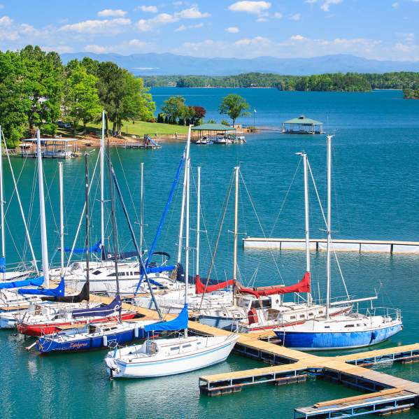Your Guide to Spending the Day on Lake Hartwell
