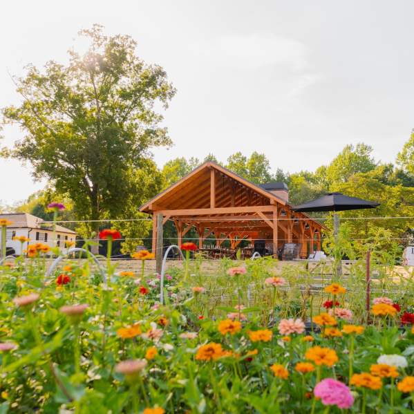 Sassafras Flower Farm