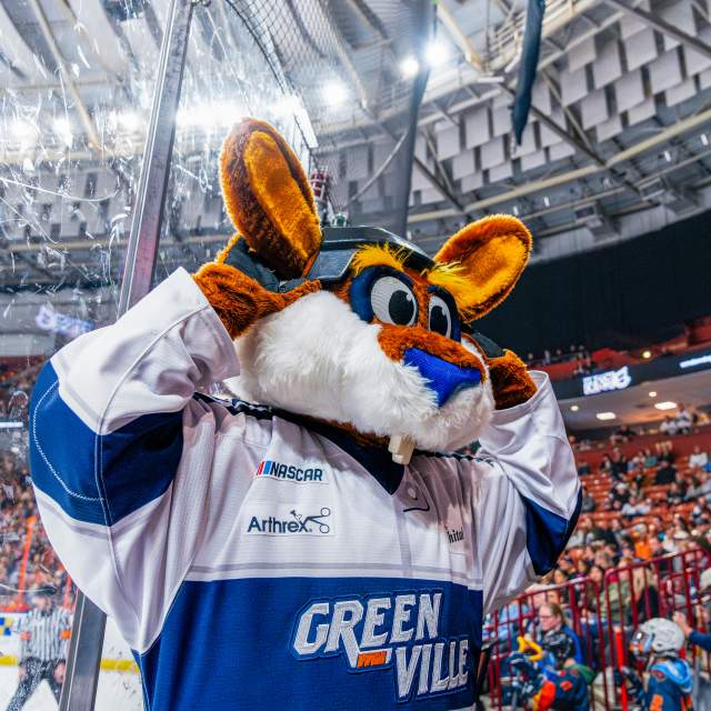 Greenville Swamp Rabbits hockey team's mascot, Stomper, in a hockey jersey in the crowd watching the hockey game.