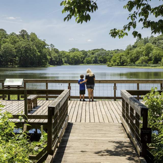 Mother and son standing on dock looking out at Lake Conestee