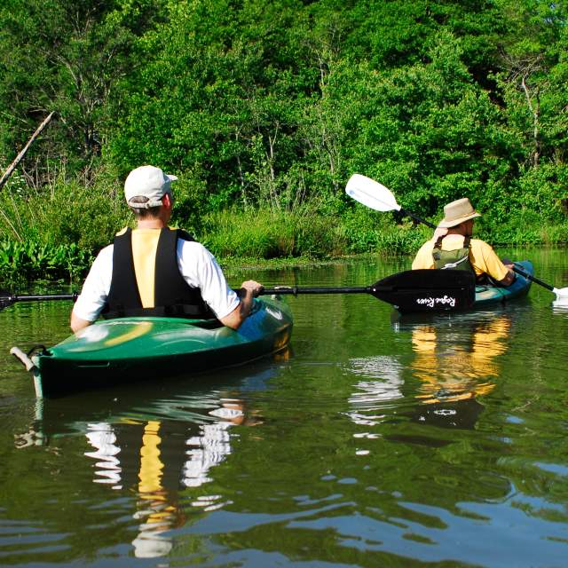 People Paddling Down Lake Cunningham