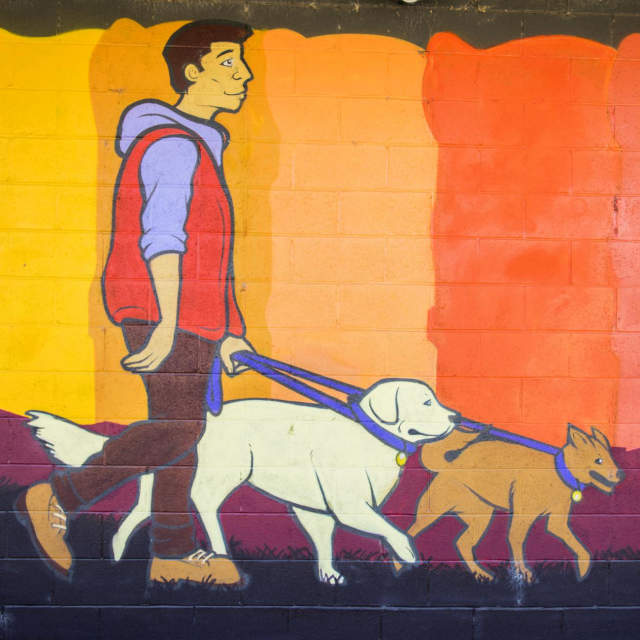 A mural of a man walking two dogs, located at Hampton Station in Greenville, SC.