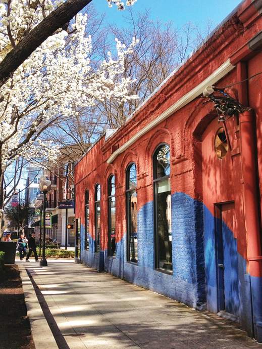 Vibrant Tapestries: Exploring Greenville's Murals