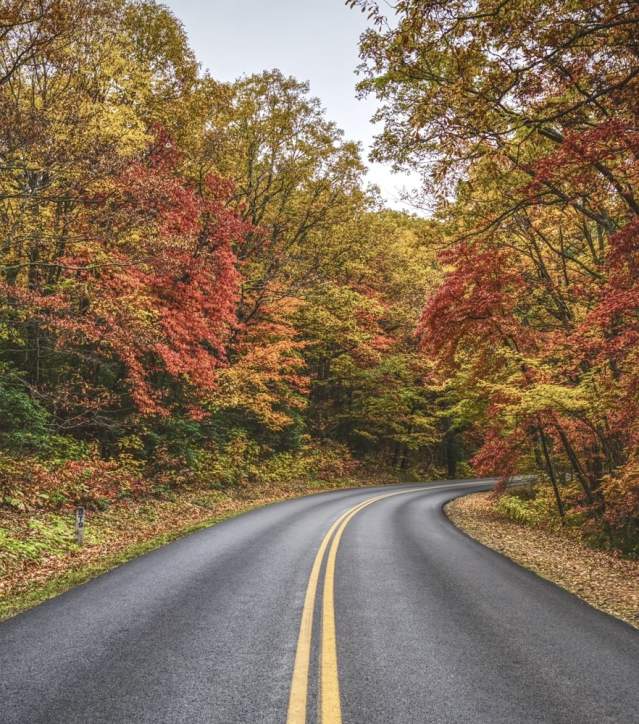 Fall/Autumn road with leaves changing colors in a rural area.