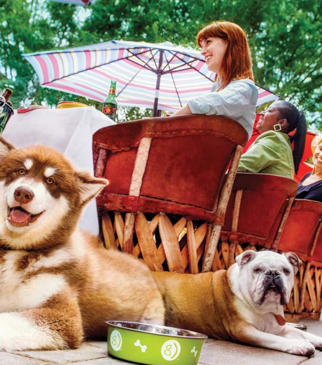 Dogs with owners dining on the sidewalks of downtown Greenville, SC.