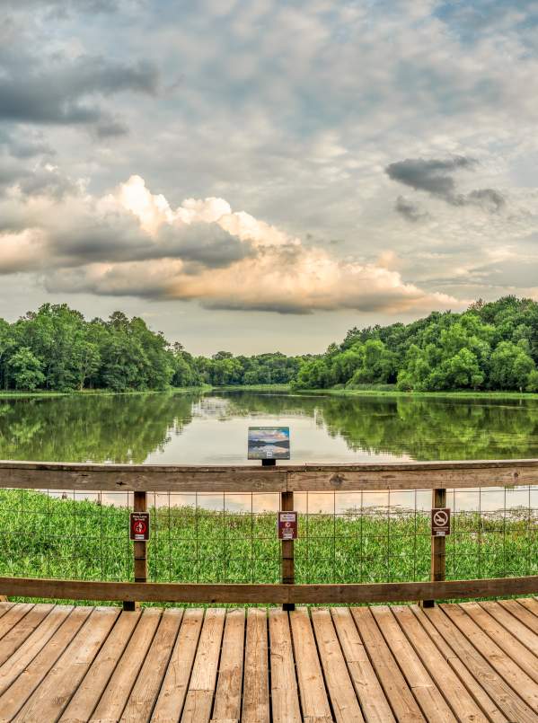 Looking for a fun, outdoorsy activity to do with the whole family? The Conestee Nature Preserve is the perfect place to spend the morning or afternoon surrounded by nature.