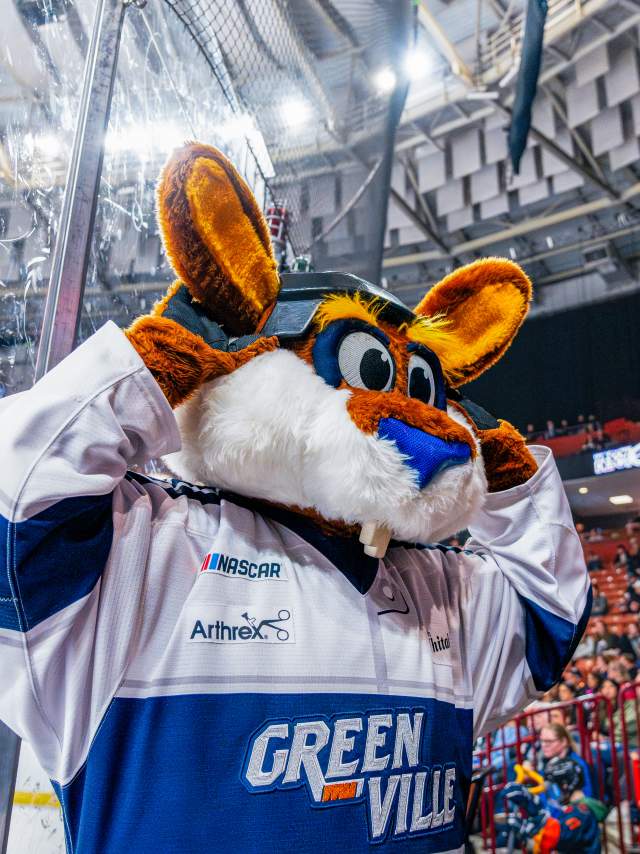 Greenville Swamp Rabbits hockey team's mascot, Stomper, in a hockey jersey in the crowd watching the hockey game.