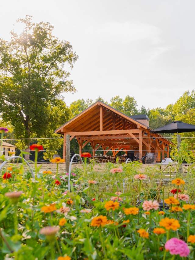 Sassafras Flower Farm
