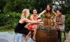 Four girls enjoying wine at City Scape Winery