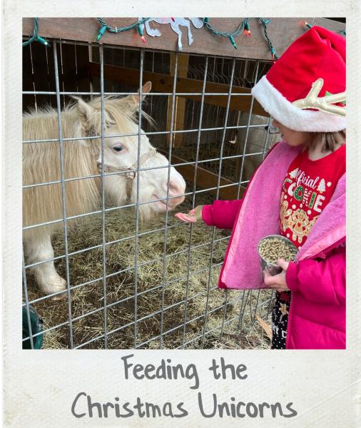 A Polaroid photograph of a child feeding a unicorn at Hidden Pasture Unicorn Farm in Fountain Inn, SC.