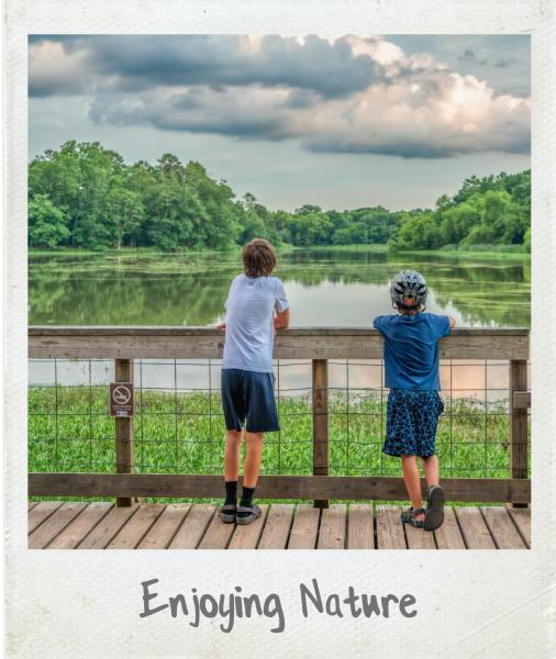 A Polaroid photograph of Conestee Nature Preserve in Mauldin, SC.