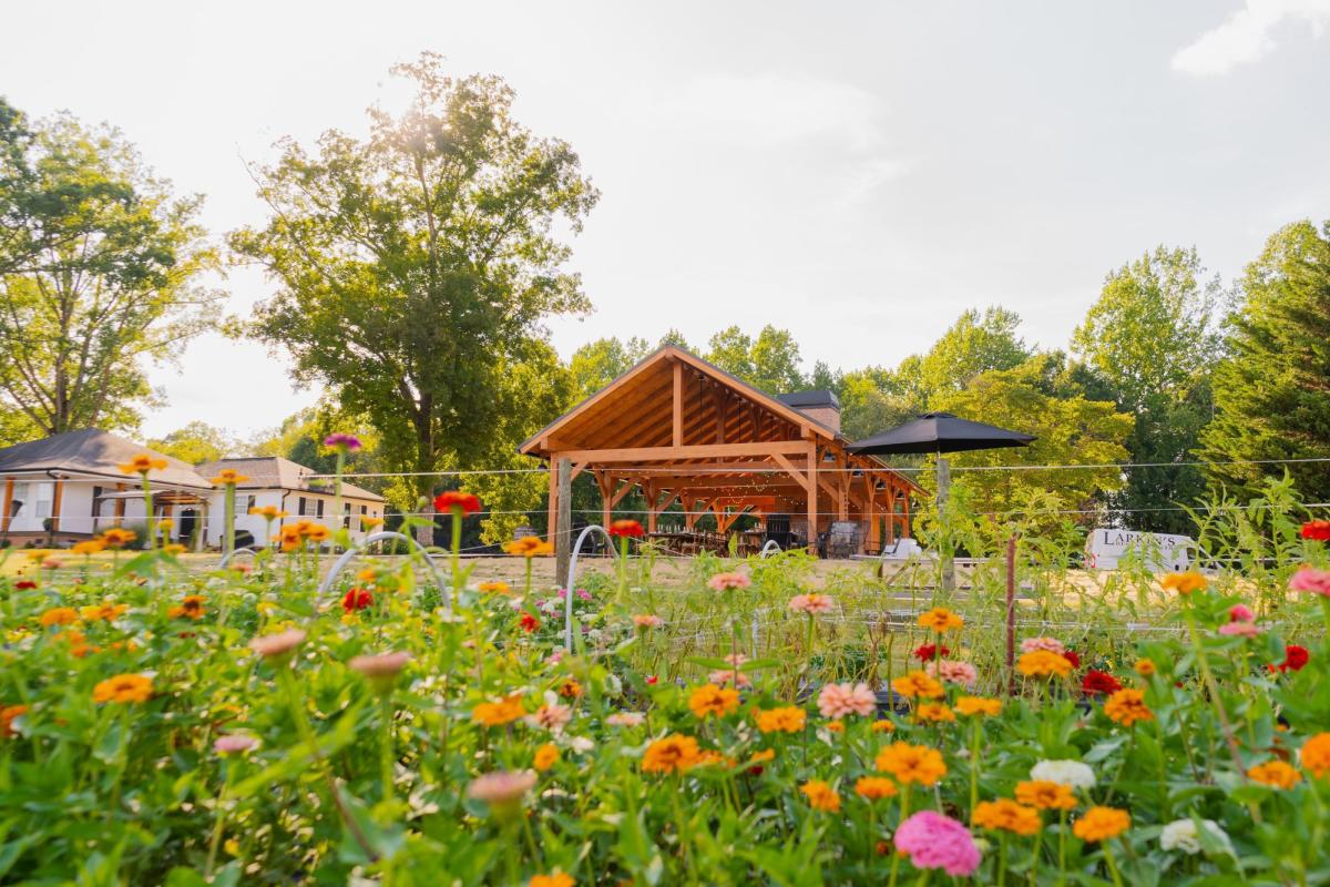 Sassafras Flower Farm