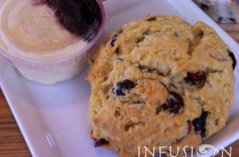 Infusion 3