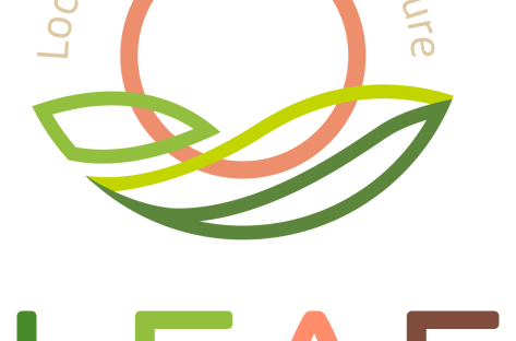 LEAF - 2