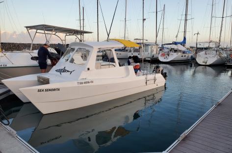 sea-senorita-1