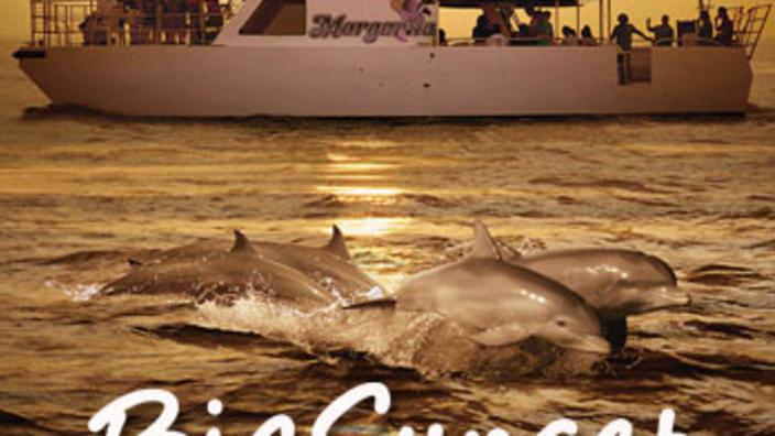 ⭐︎クルージング マゼラン・エクスプローラー号」 “海のパタゴニア”クルーズ