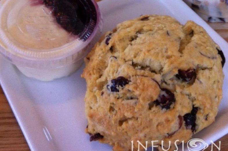 Infusion 3