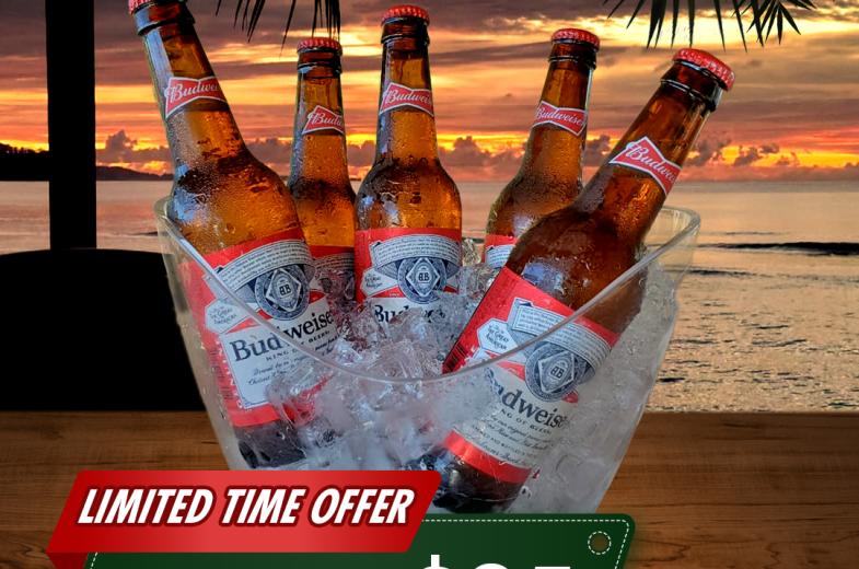 Budweiser Bucket Special