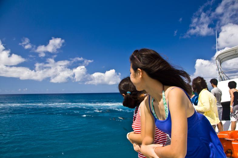 Family Dolphin Watching