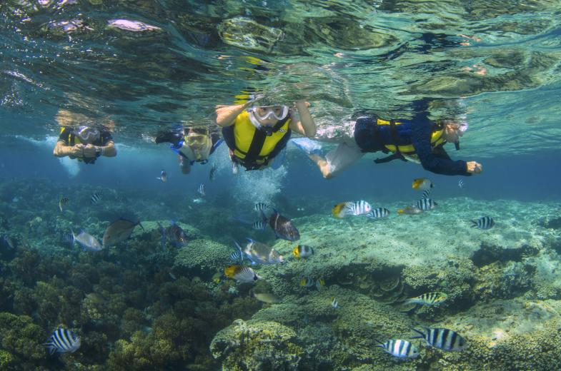 Family Snorkeling Activity