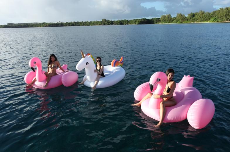 Guam Dolphin Cruise 3