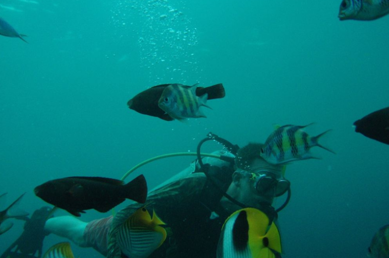 Blue Persuasion Image 02