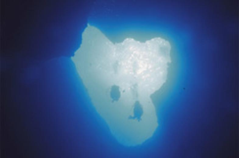 ocean03