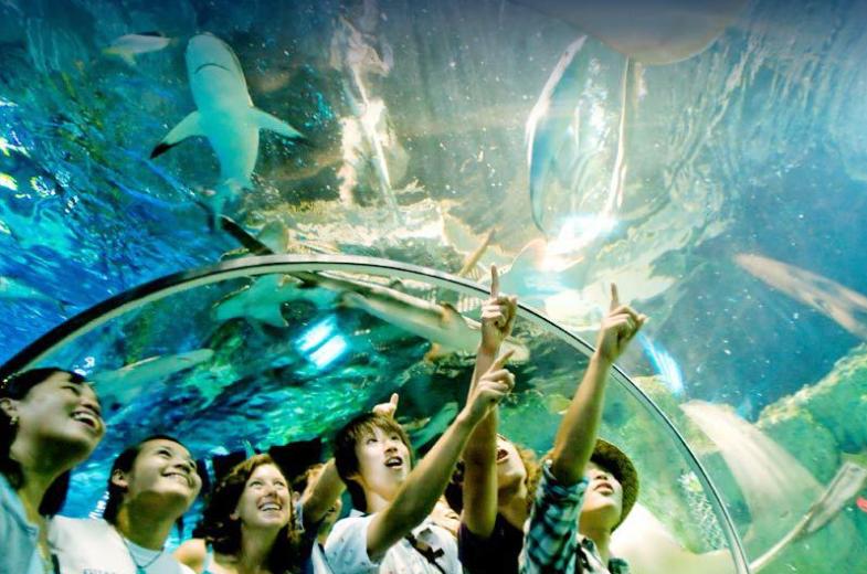 Underwater World 3