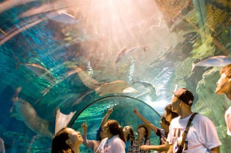 Underwater World 2