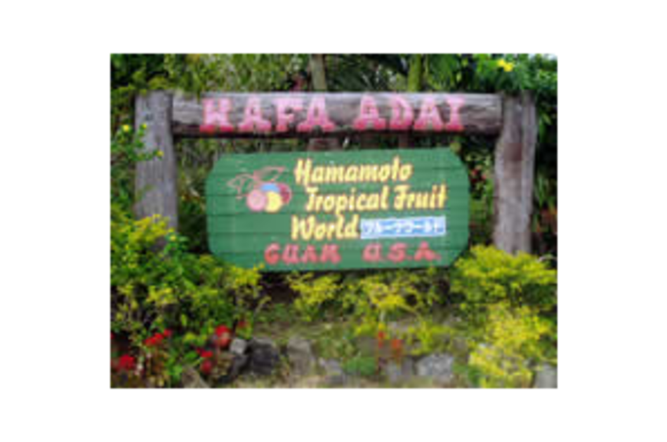 Hamamoto Tropical Fruit World Image 01