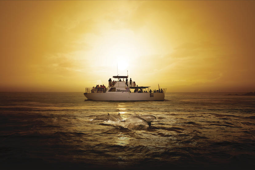 ビッグサンセットクルーズ (Big Sunset Cruise)