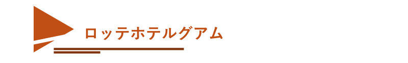 lotte_tag
