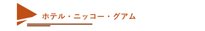 nikko_tag