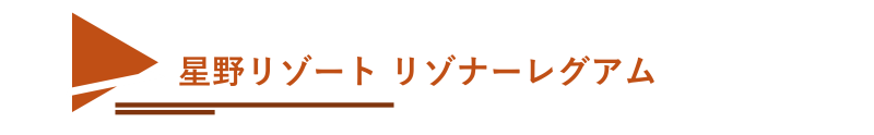 hoshino_tag