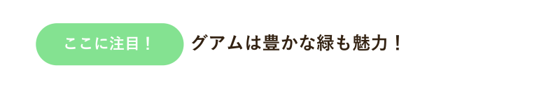 chumoku8