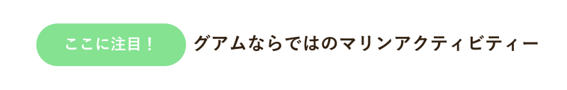 chumoku7