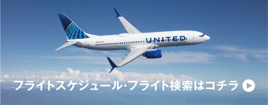 guamhaneda_flight_button