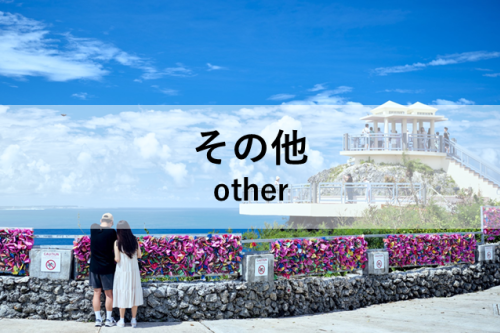 button_other