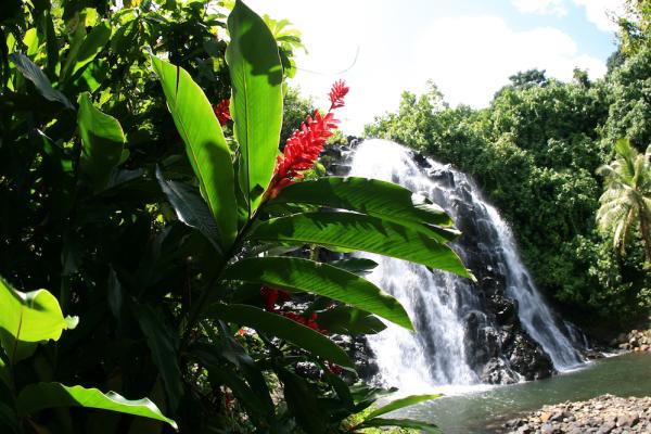 Pohnpei