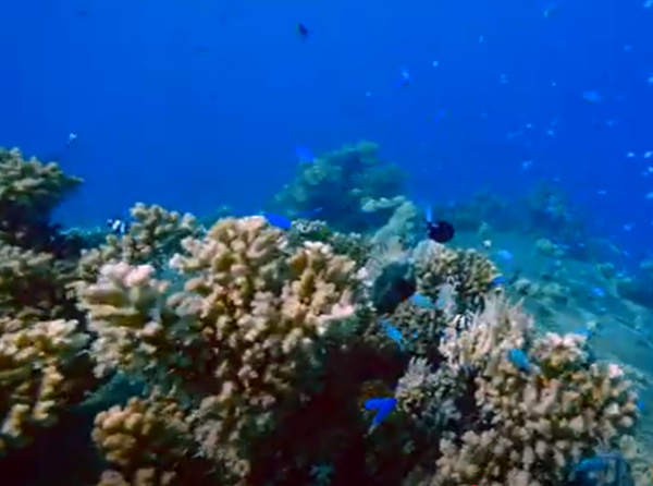 chuuk