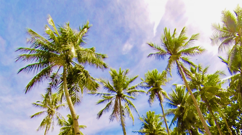 guam8