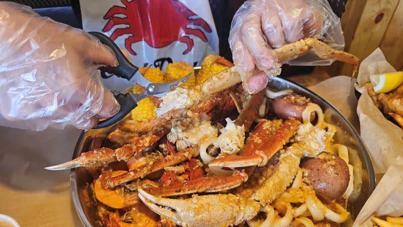 crab8