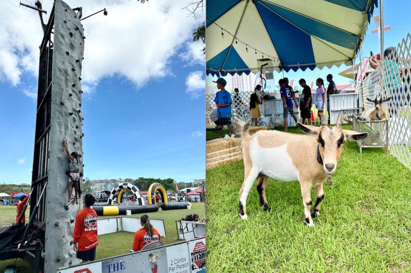 GVB-Island Fair4.jpg